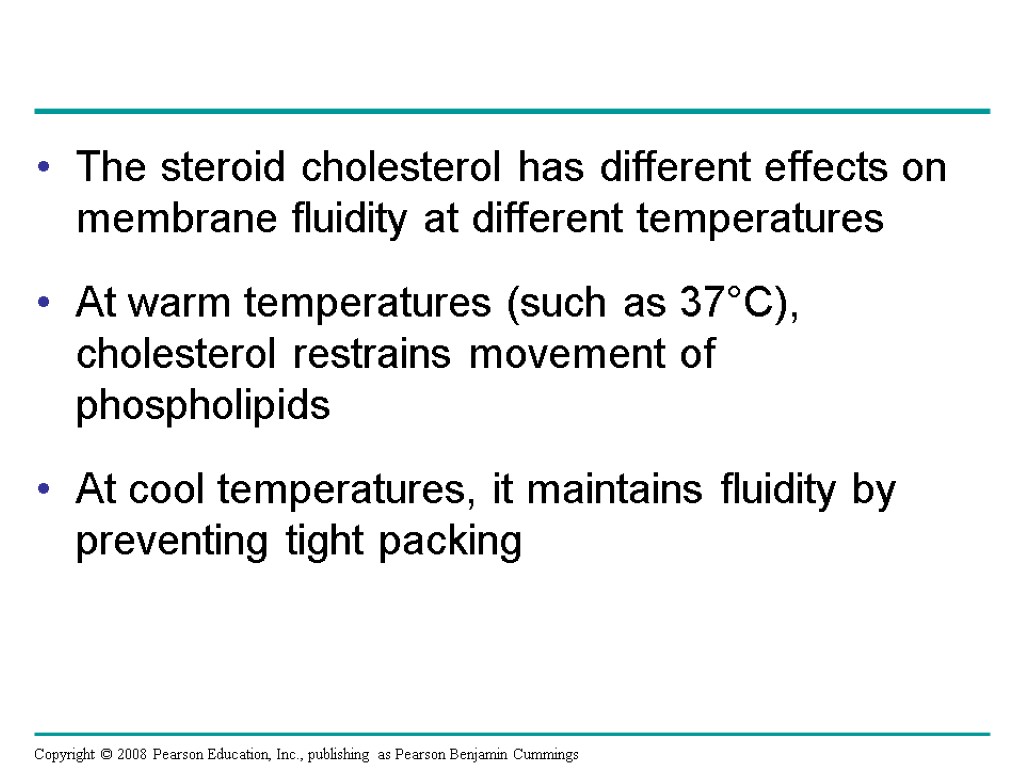 The steroid cholesterol has different effects on membrane fluidity at different temperatures At warm